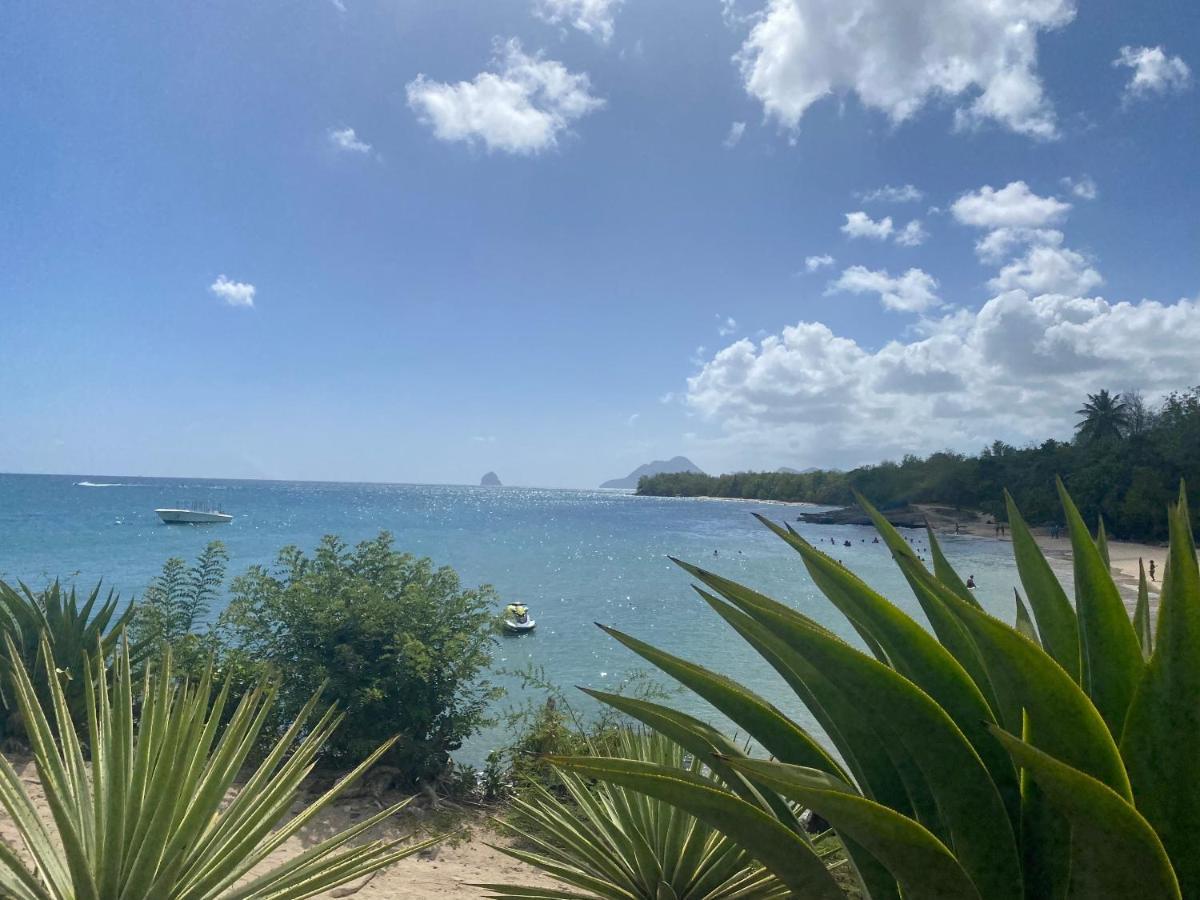 Studio Rdc La Desirade Martinique Acces Direct Plage Сент-Люс Экстерьер фото