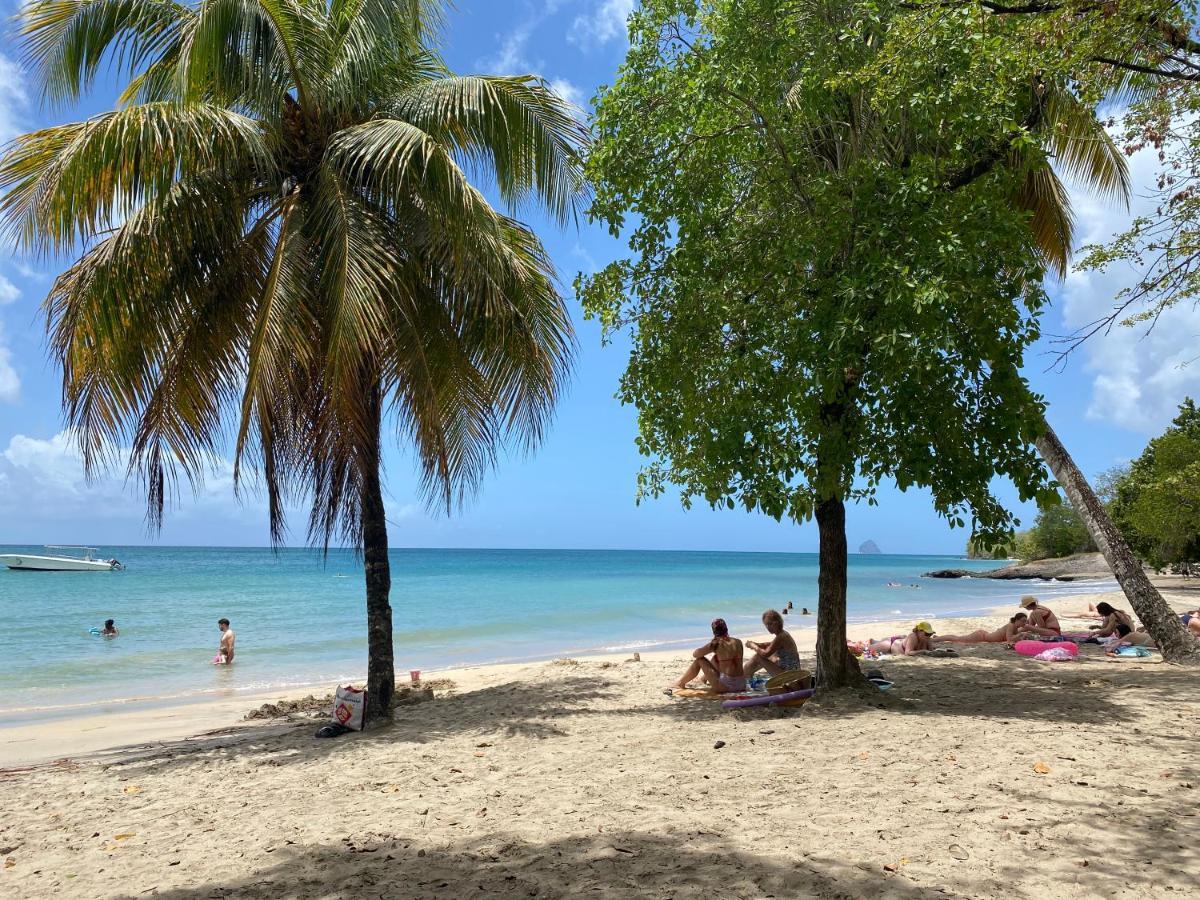 Studio Rdc La Desirade Martinique Acces Direct Plage Сент-Люс Экстерьер фото